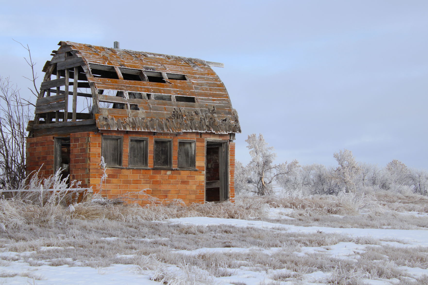 Barn Shed